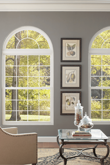 living room windows
